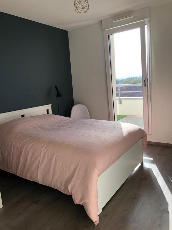 Appartamento La Terrasse Strasburgo Esterno foto